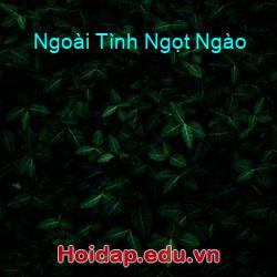 Ngoài Tình Ngọt Ngào