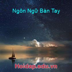 Ngôn Ngữ Bàn Tay
