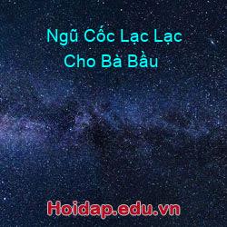 Ngũ Cốc Lạc Lạc Cho Bà Bầu
