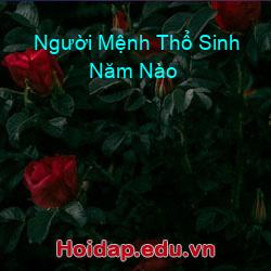 Người Mệnh Thổ Sinh Năm Nào