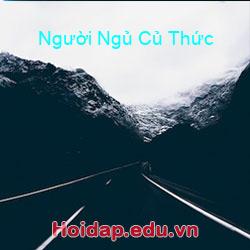 Người Ngủ Củ Thức