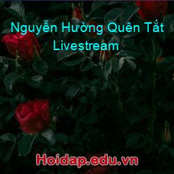 Nguyễn Hường Quên Tắt Livestream