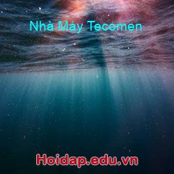 Nhà Máy Tecomen