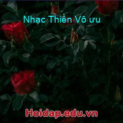 Nhạc Thiền Vô ưu