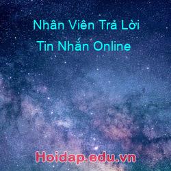 Nhân Viên Trả Lời Tin Nhắn Online