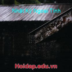 Nhật Ký Ngoại Tình