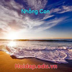 Nhồng Con