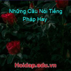 Những Câu Nói Tiếng Pháp Hay