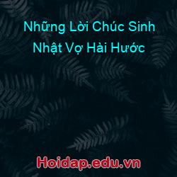 Những Lời Chúc Sinh Nhật Vợ Hài Hước