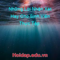 Những Lời Nhận Xét Hay Cho Sinh Viên Thực Tập
