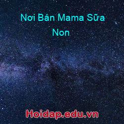 Nơi Bán Mama Sữa Non