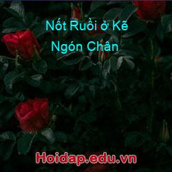 Nốt Ruồi ở Kẽ Ngón Chân