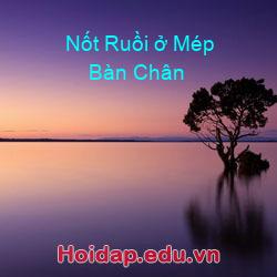 Nốt Ruồi ở Mép Bàn Chân