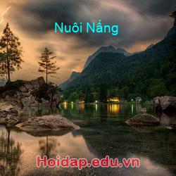 Nuôi Nấng