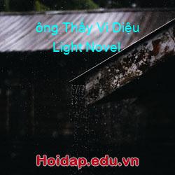 ông Thầy Vi Diệu Light Novel