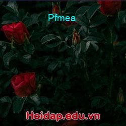 Pfmea
