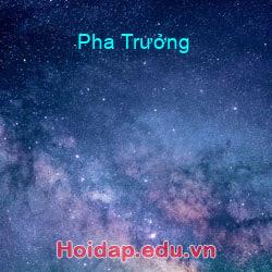 Pha Trưởng