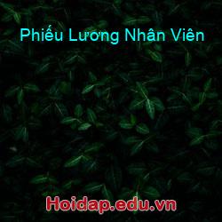 Phiếu Lương Nhân Viên