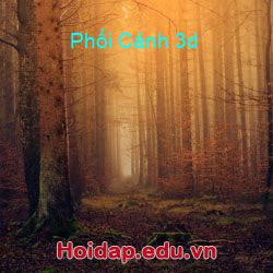 Phối Cảnh 3d