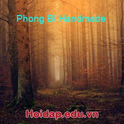 Phong Bì Handmade