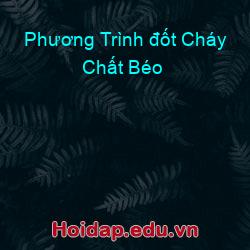 Phương Trình đốt Cháy Chất Béo