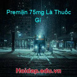 Premilin 75mg Là Thuốc Gì
