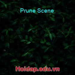 Prune Scene
