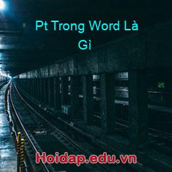 Pt Trong Word Là Gì