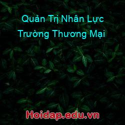 Quản Trị Nhân Lực Trường Thương Mại