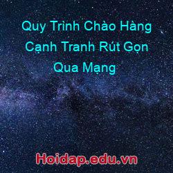 Quy Trình Chào Hàng Cạnh Tranh Rút Gọn Qua Mạng
