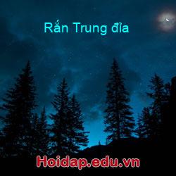 Rắn Trung đỉa