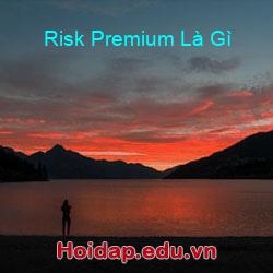 Risk Premium Là Gì