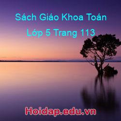 Sách Giáo Khoa Toán Lớp 5 Trang 113
