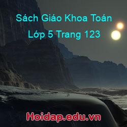 Sách Giáo Khoa Toán Lớp 5 Trang 123