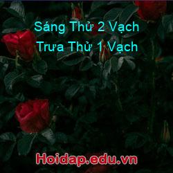 Sáng Thử 2 Vạch Trưa Thử 1 Vạch