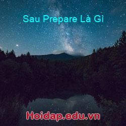 Sau Prepare Là Gì