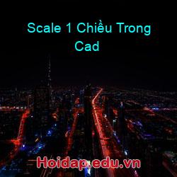 Scale 1 Chiều Trong Cad
