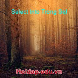 Select Into Trong Sql