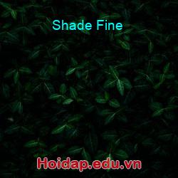 Shade Fine