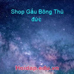 Shop Gấu Bông Thủ đức