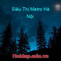Siêu Thị Metro Hà Nội