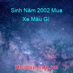 Sinh Năm 2002 Mua Xe Màu Gì