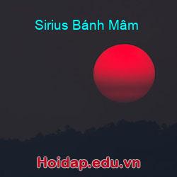 Sirius Bánh Mâm