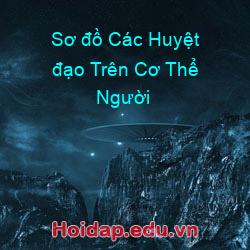 Sơ đồ Các Huyệt đạo Trên Cơ Thể Người