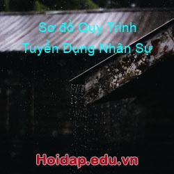 Sơ đồ Quy Trình Tuyển Dụng Nhân Sự