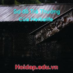 Sơ đồ Trả Thưởng Của Herbalife