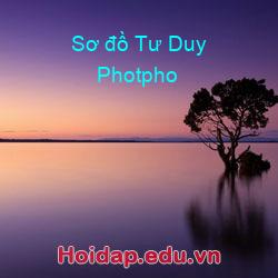 Sơ đồ Tư Duy Photpho