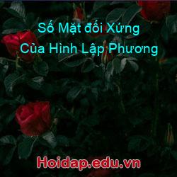 Số Mặt đối Xứng Của Hình Lập Phương