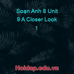 Soạn Anh 8 Unit 9 A Closer Look 1