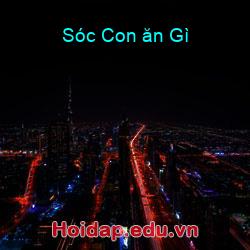Sóc Con ăn Gì